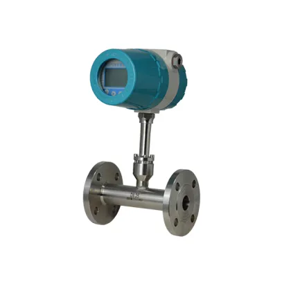 Thermal Mass Flowmeter Gas Meter Flow Instrument for Gas LNG