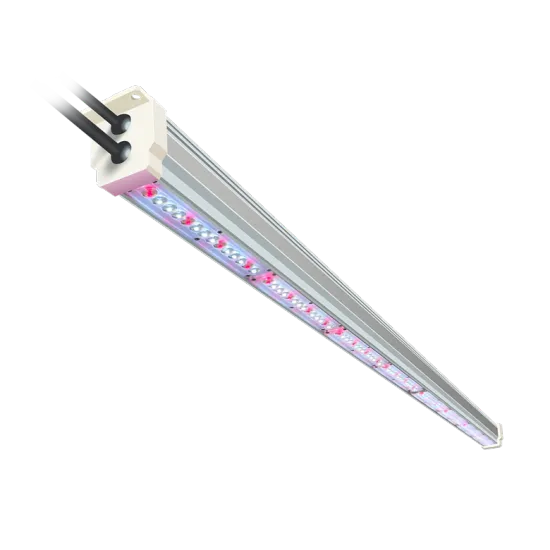 30W-60W Full Spectrum LED Grow Lights for Indoor Vertical Hydroponic Strawberry Farming