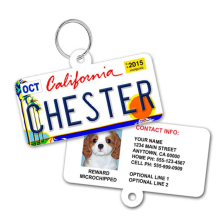 High quality Dog ID Tags