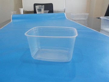 Disposable Rectangular Plastic Food Container With Lid