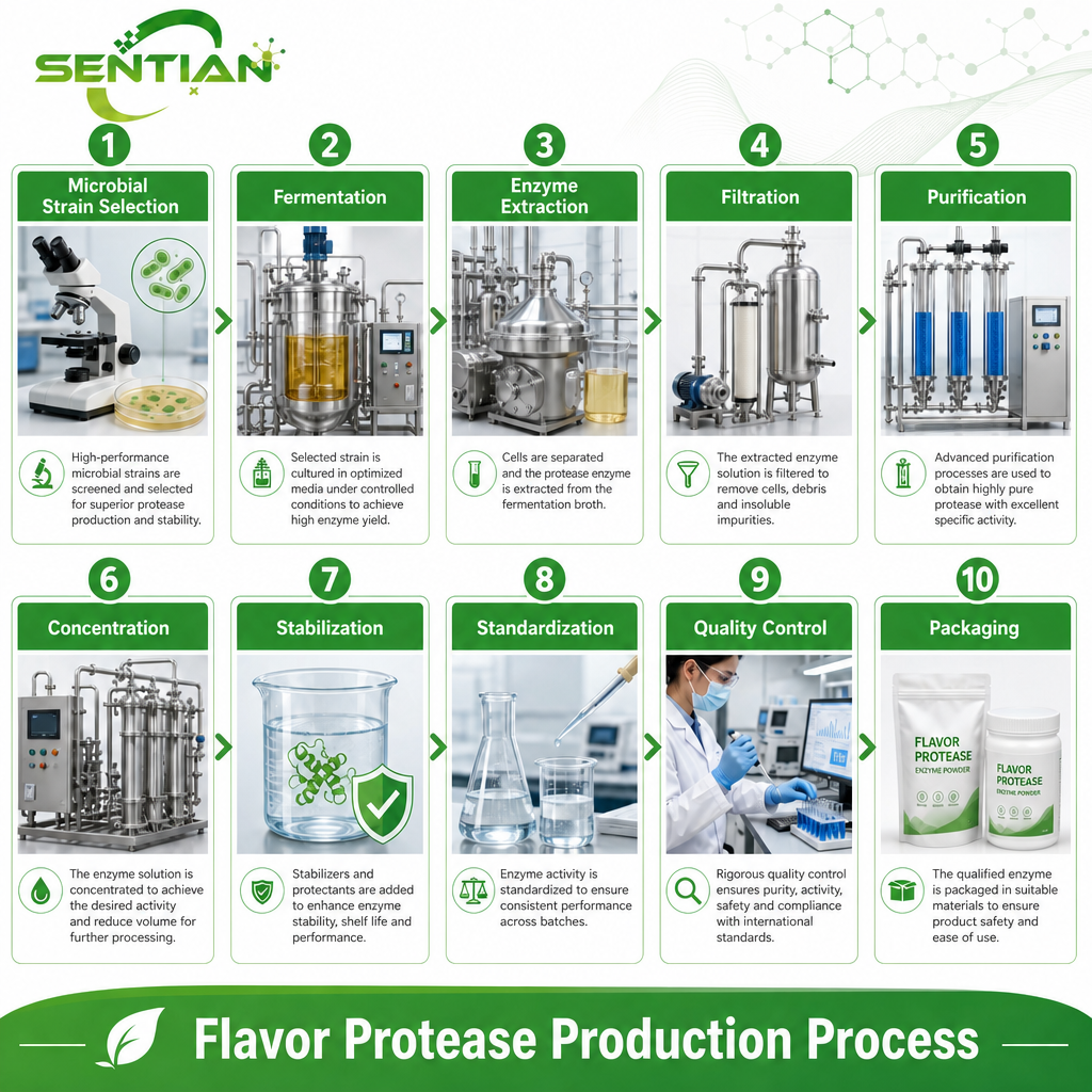 Flavor Protease1
