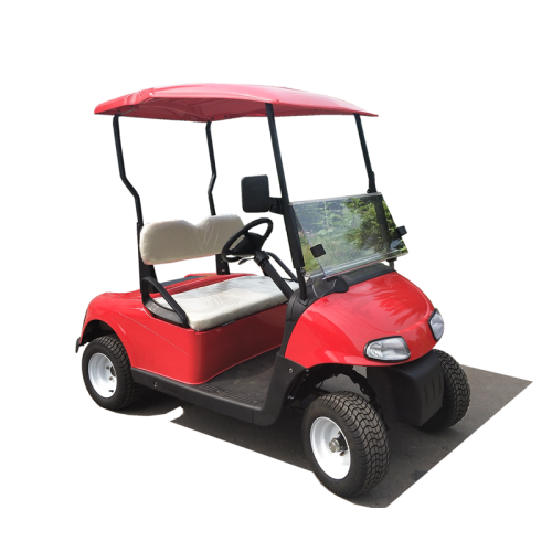 two seats 3000cc gas golf cart for sale