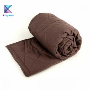 Polyester Microfiber Fillin Thick and Warm Quilt