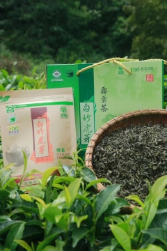 Baizhu Tiger Bud Cloud Dragon Claw Tea