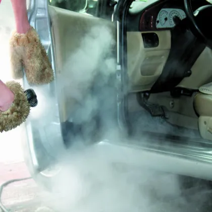 380V 2 Guns Steam Car Wash Machine HF1090