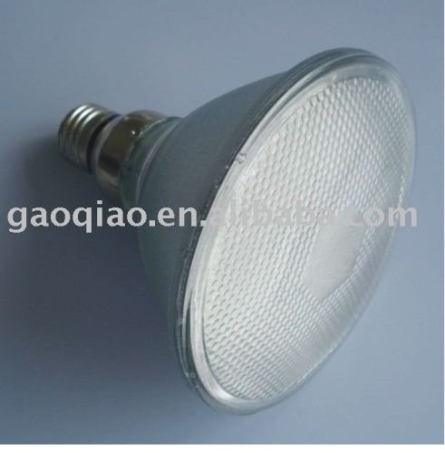 LED Light (PAR38)