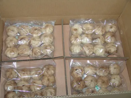 The Carefully select whole black garlic