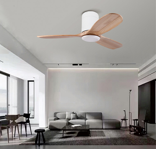 LEDER Unique Electric Ceiling Fans