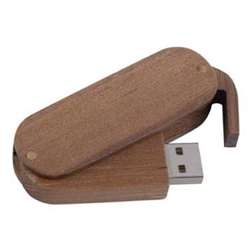 USB disk  -234