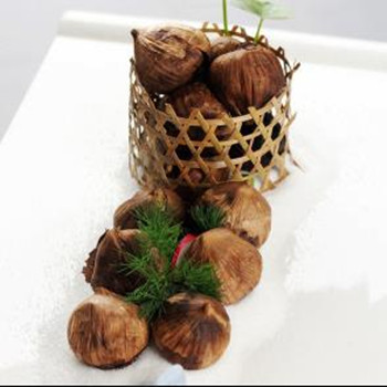 single black garlic (19)