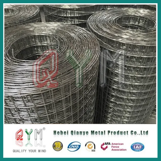 Welded Wire Mesh Roll/ PVC Coated Welded Wire Mesh Rolls