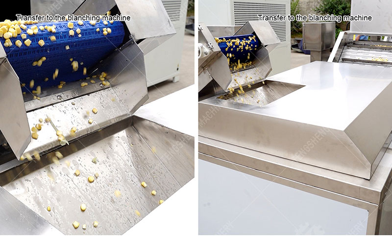 sweet corn processing equipment
