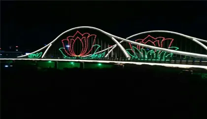 outdoor Bridge cable fitting lights