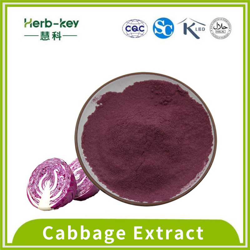 20: 1 фиолетовый экстракт капусты, содержащий антоцианины