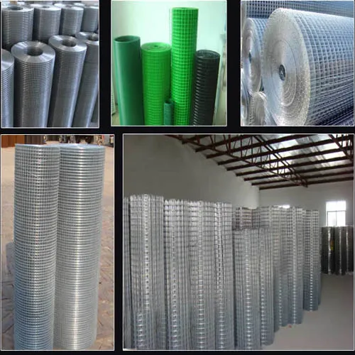 10 Gauge PVC coated Galvanized Welded Wire Mesh