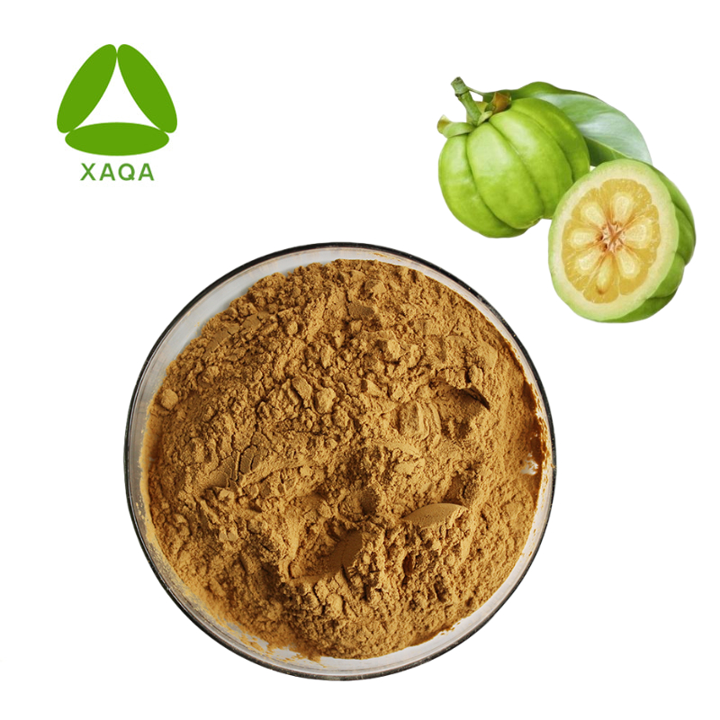 Pó de extrato de fruta de Garcinia Cambogia 100% natural puro