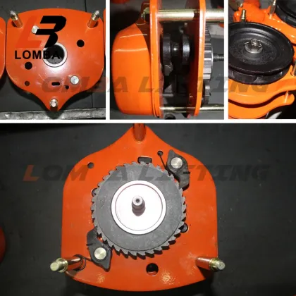 Japan Vital Brand 1 Ton Chain Pulley Block for Hoists