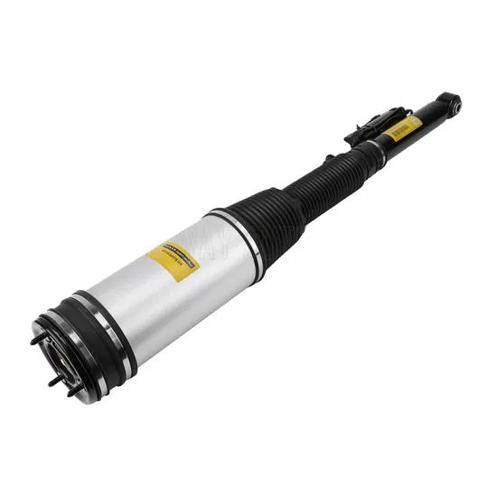 Shine Way 2203205013 Air Suspension Strut for Mercedes-Benz S Class W220