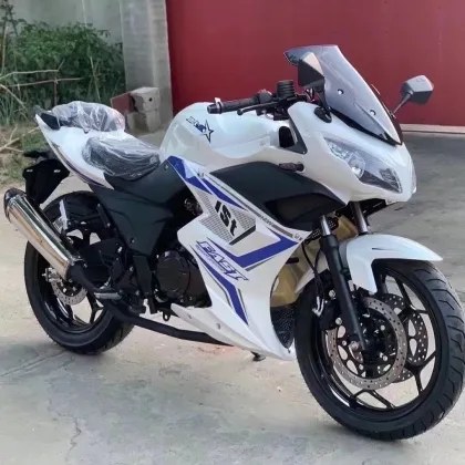 Roywell Fuel Injection 250cc Adult Gas Motorcycle, Dirt Bike, and Street Motorcycle Bike: Your Ultimate Riding Solution