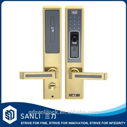 Stainless steel S304 remote control door lock for gate
