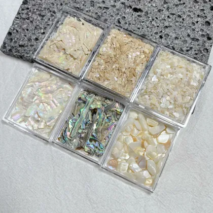 Natural Irregular Sea Shell Slice Nail Art Decoration