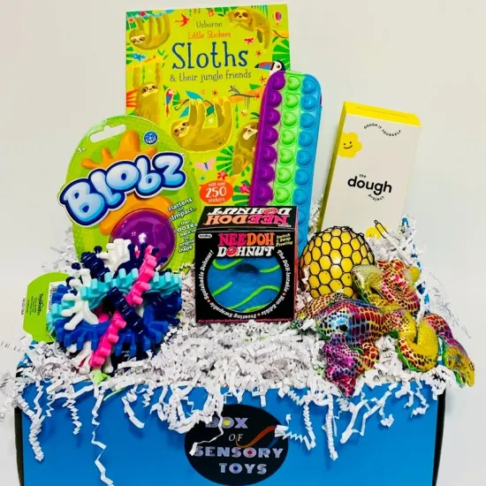 Silicone Bubble Fidget Toy Set: An Innovative Solution for Stress Relief and Education