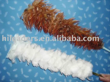 Feather Duster