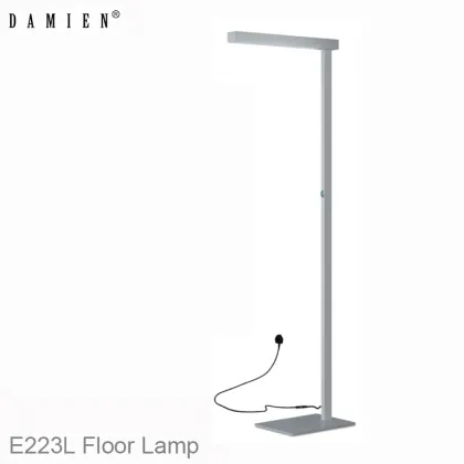 Minimalist Style Twin Lights Desk Lamp for Office Lighting E233D