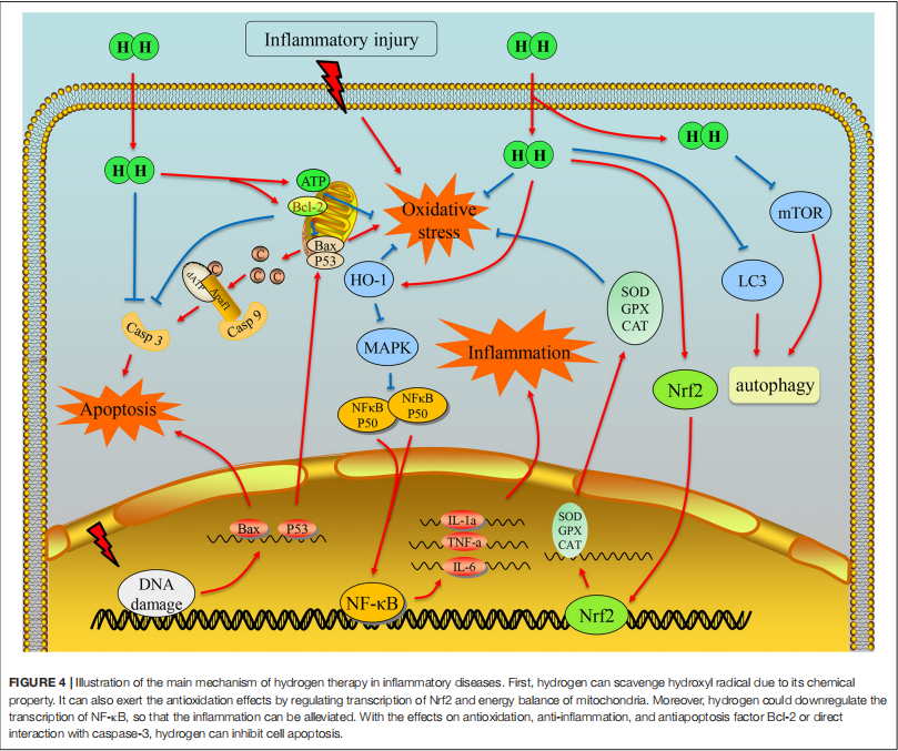 cells self-healing cells self-healing