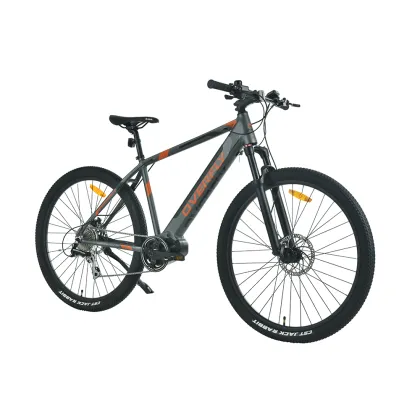 XY-CRIUS Tre Style New design fastest electric bike