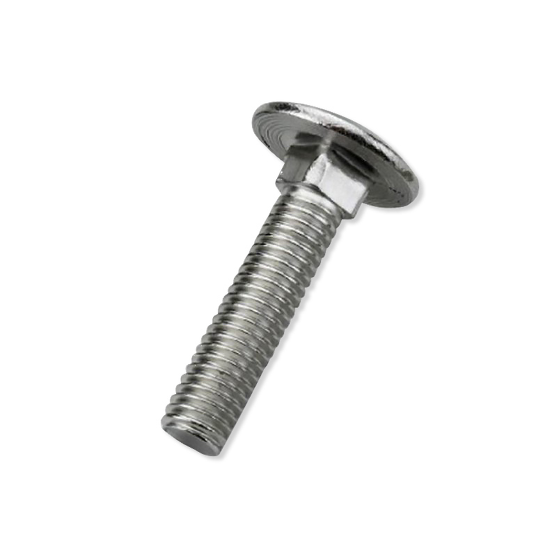 Round head bolts (12)