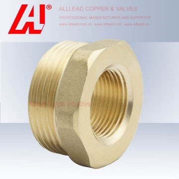 Brass Pipe Reducing Bushing