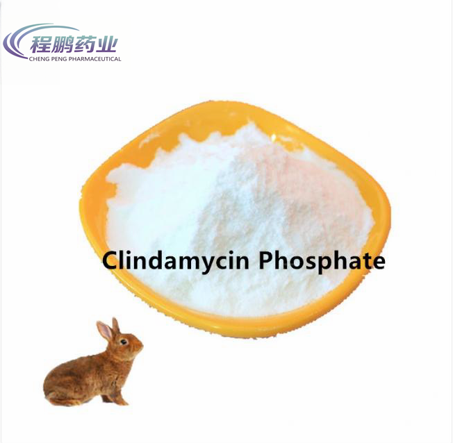 Pharmaceutical API CAS 24729-96-2 Clindamycin Phosphate