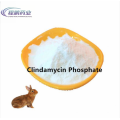 API farmacêutica CAS 24729-96-2 Fosfato de clindamicina