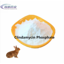 Pharmaceutical API CAS 24729-96-2 Clindamycin Phosphate