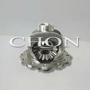 Rear Axle Differential Assembly
