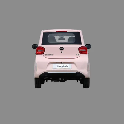 BAW Yuanbao New Energy Electric Mini Car - Factory Price 2024