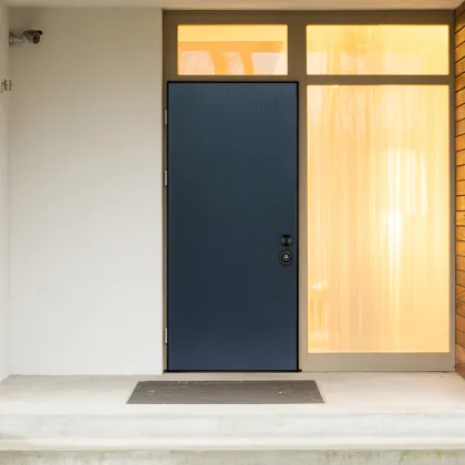 Aluminium Armored Security Door Panel