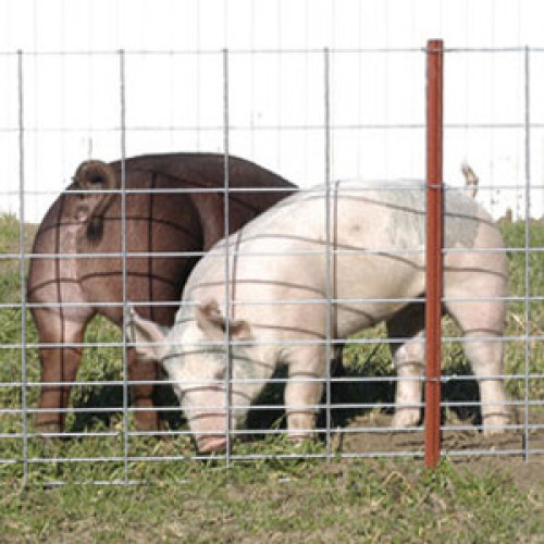 Tela de arame soldado Hog Fence Panel