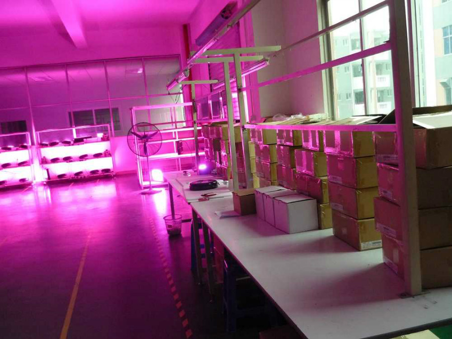 Custom High Power Led Grow Light for Greenhouse