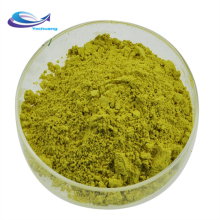 HALAL Certified kale powder kale powder bulk kale