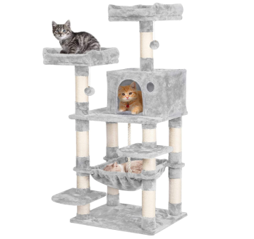 Tour de chat d'arbre de chat multi-niveaux