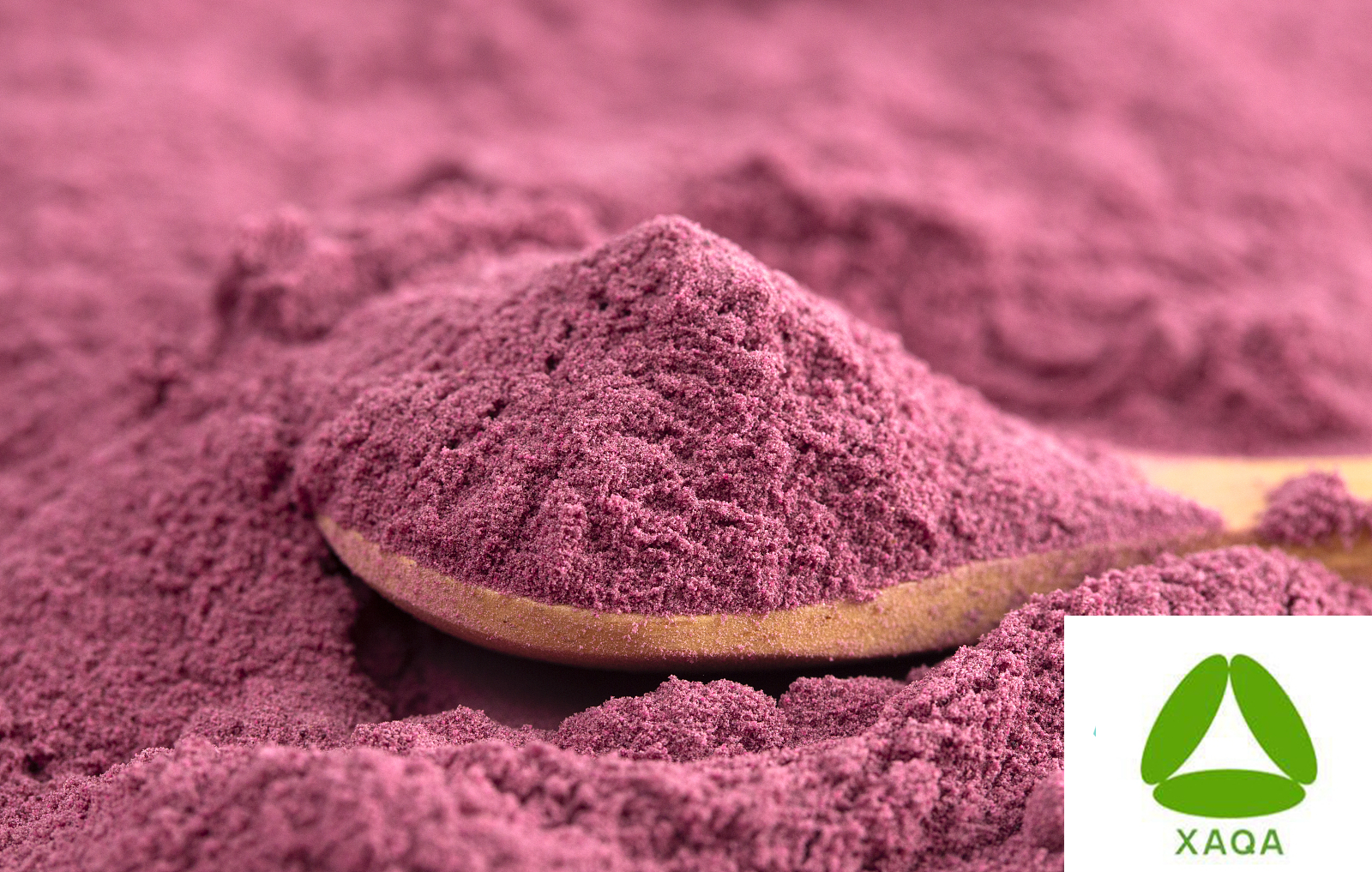 Freeze-dried acaiberry powder (1)