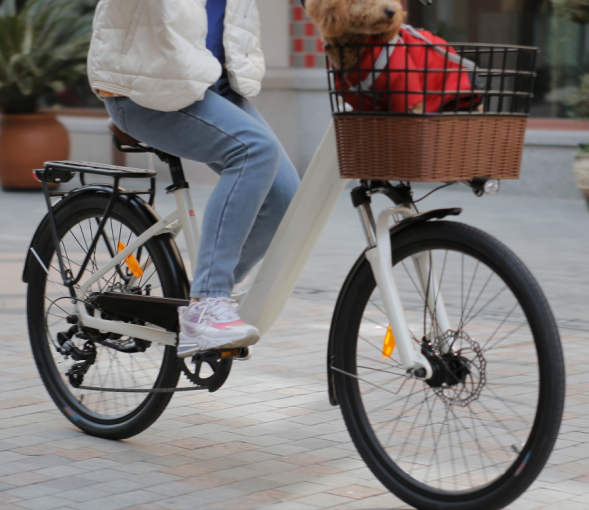 Customized E Bike Customized E Bike
