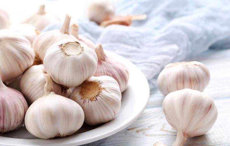 garlic