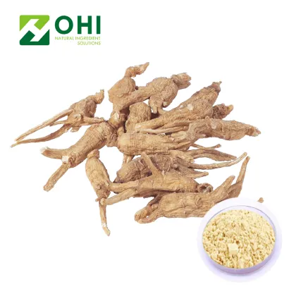 Radix Panax Ginseng Extract