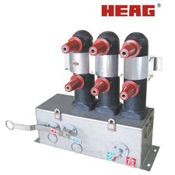 ZW53-12 Outdoor Vacuum Circuit Breaker