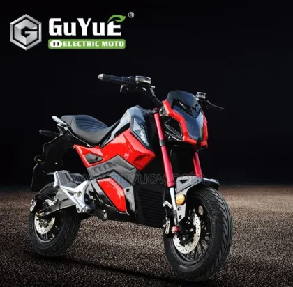 Fat Tire Electric Motorcycle