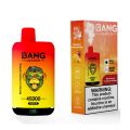 Bang Leader 45000 Hits Disposable Vape Device