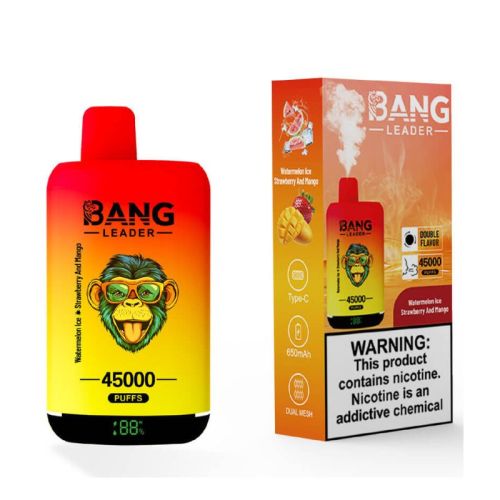 Bang Leader 45000 Hits Disposable Vape Device